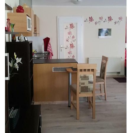 Ferienwohnung Gerlach ドレスデン エクステリア 写真