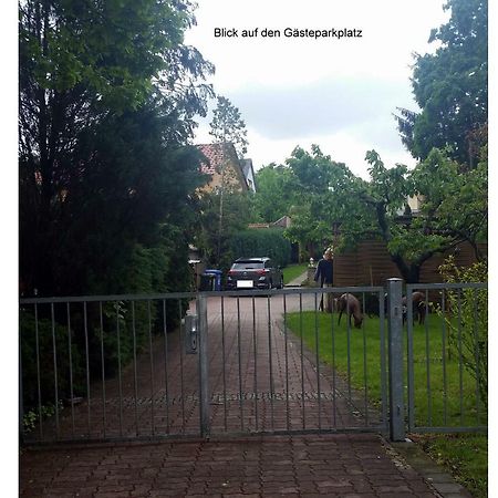 Ferienwohnung Gerlach ドレスデン エクステリア 写真