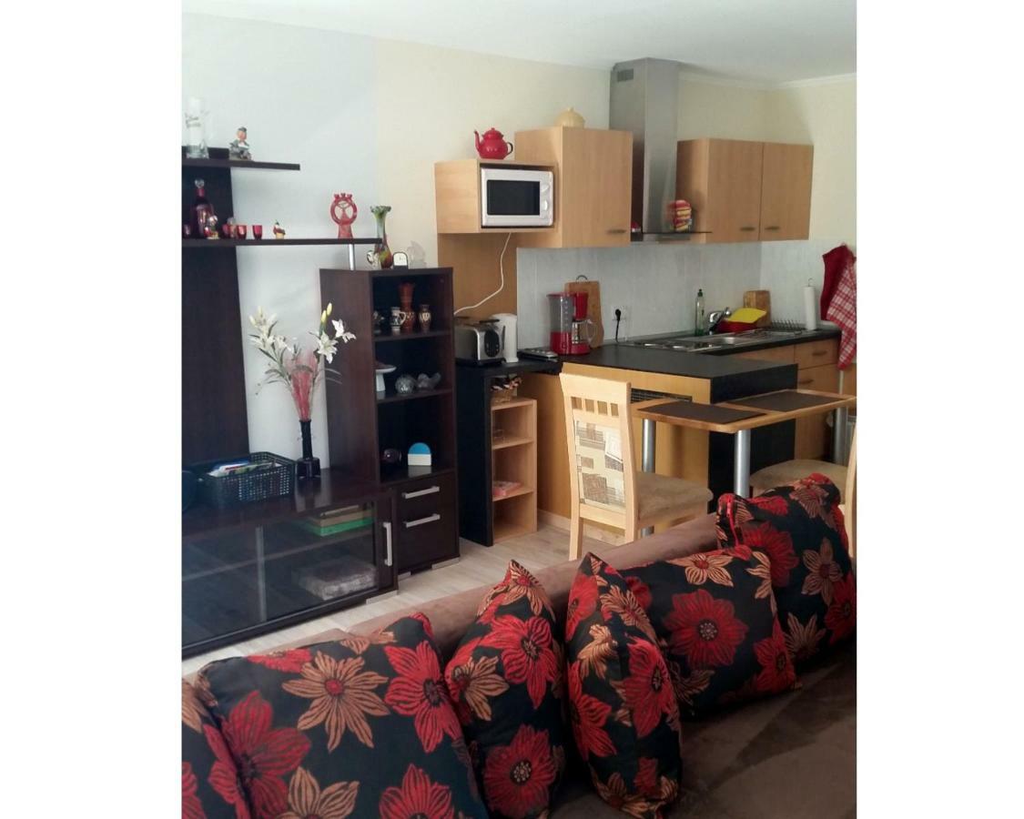 Ferienwohnung Gerlach ドレスデン エクステリア 写真