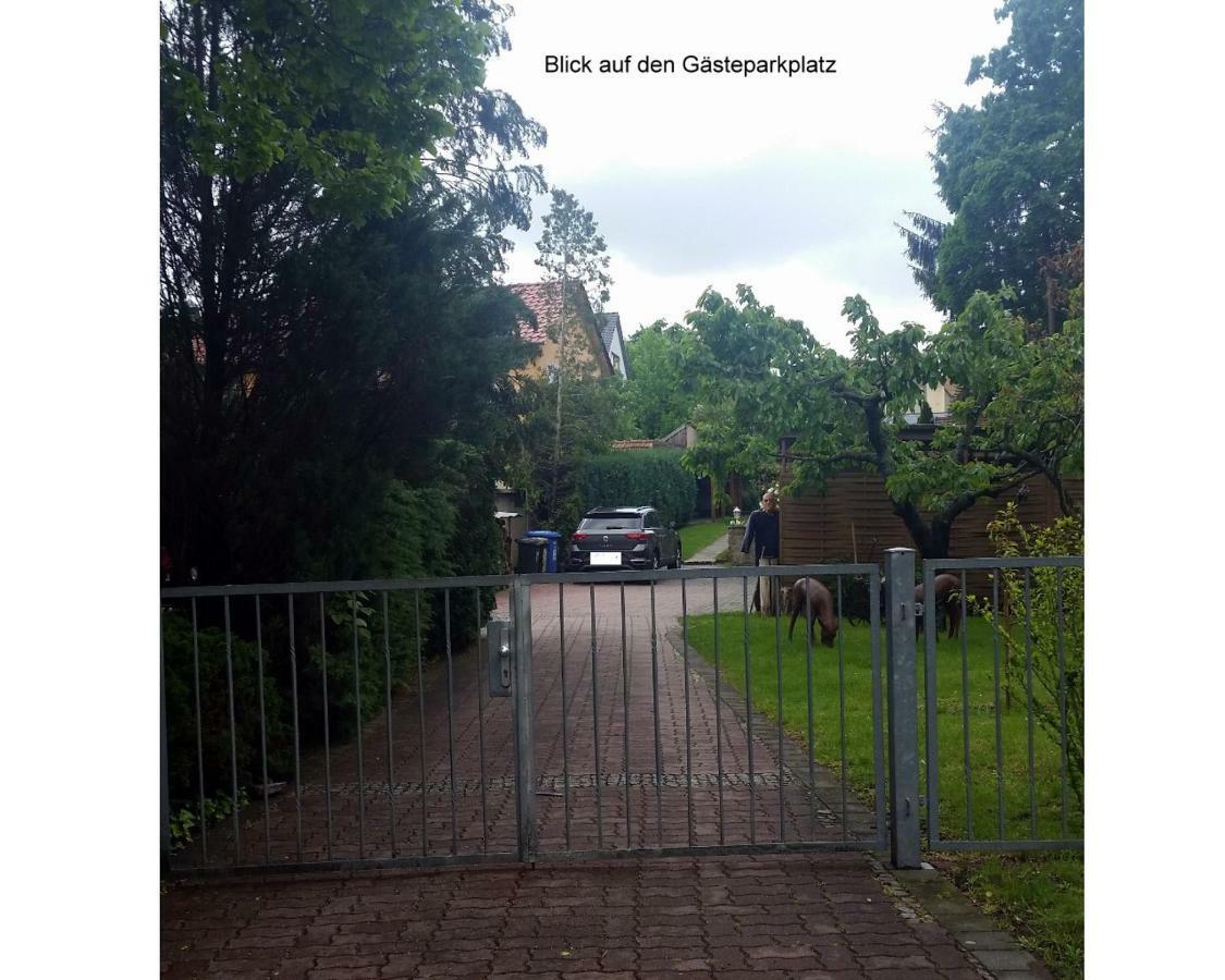 Ferienwohnung Gerlach ドレスデン エクステリア 写真